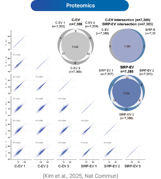 Exosome images